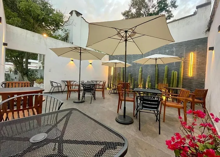 Casona San Angel 1917 Homestay Mexico City