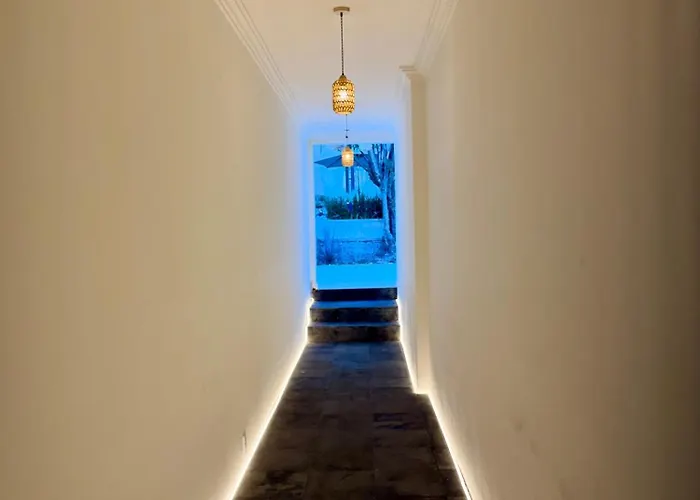 Homestay Casona San Angel 1917 Mexico City