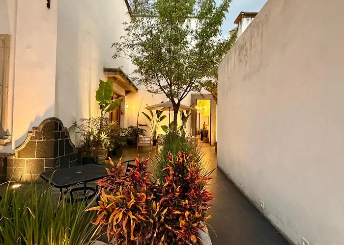 Homestay Casona San Angel 1917 Mexico City